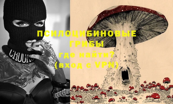 бошки Белокуриха